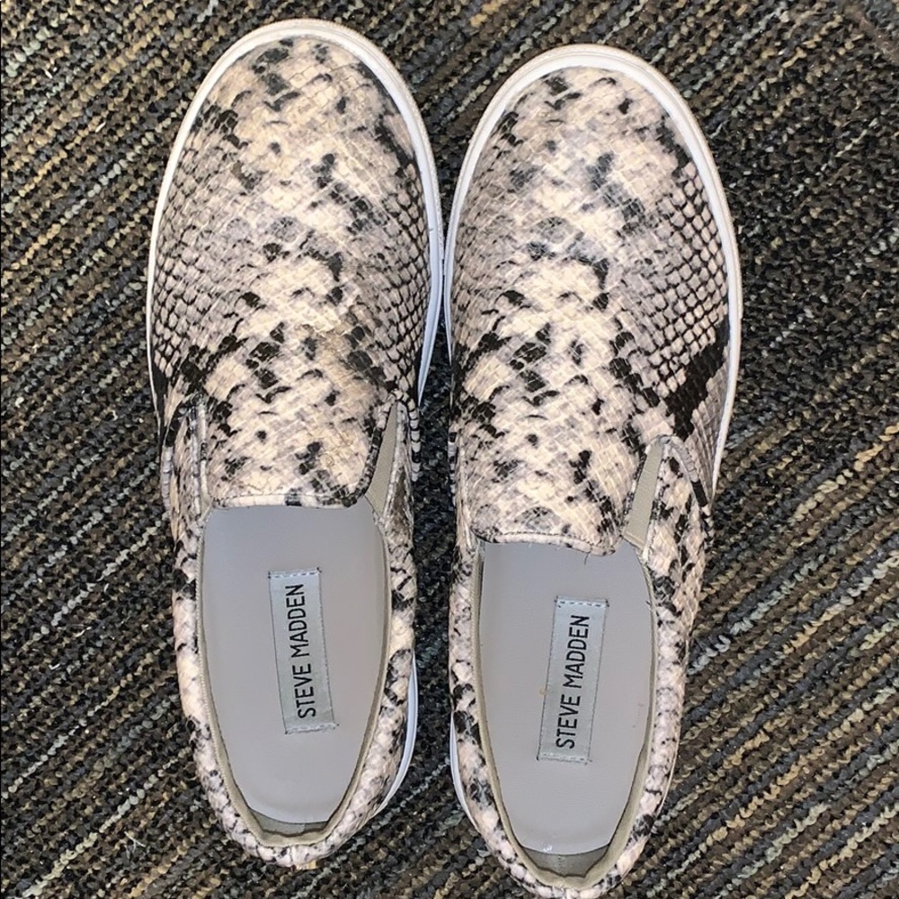 Steve Madden snake skin sneaker